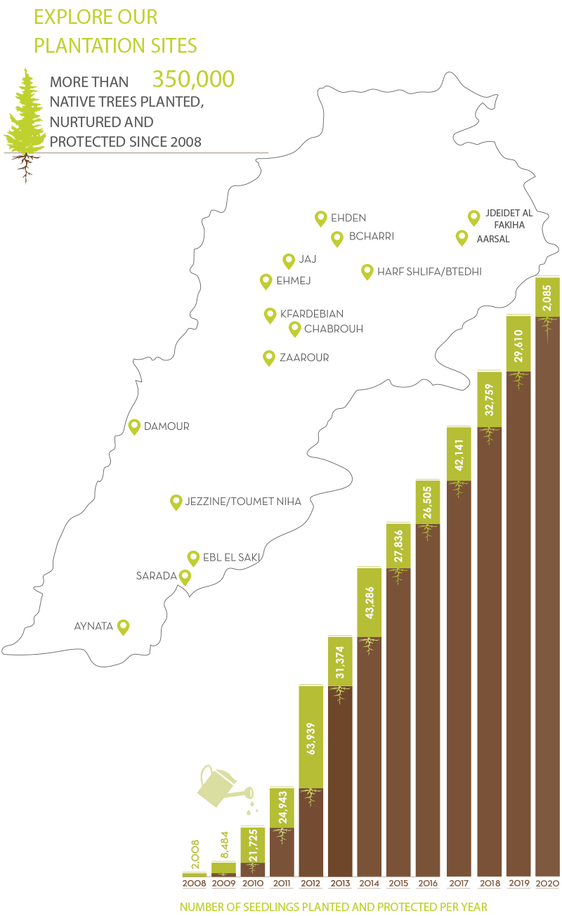 Number of trees nurtured and protected per year